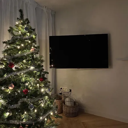 Frans Lichtrijk 2slpk Apartmán